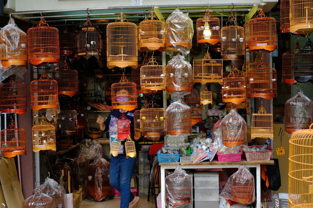 Photograph by Ng Tang Kwai