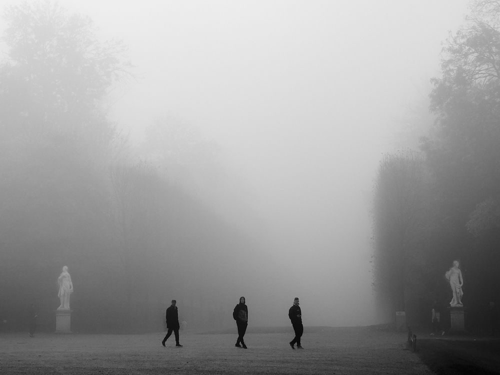 Photograph by Matteo