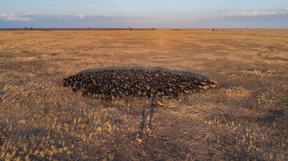 Photograph by Евгений Очеев