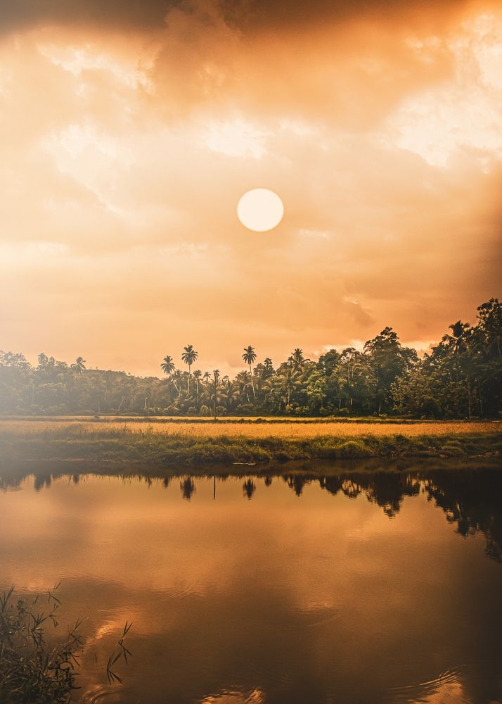 Photograph by Hewage K-vin R