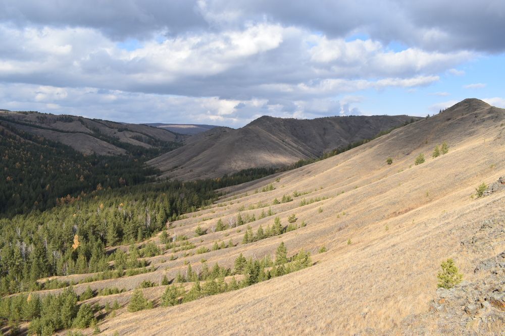 Photograph by Нина