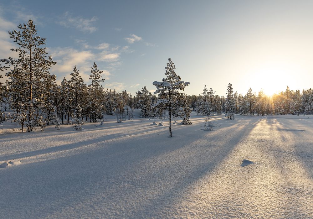 Photograph by Александр