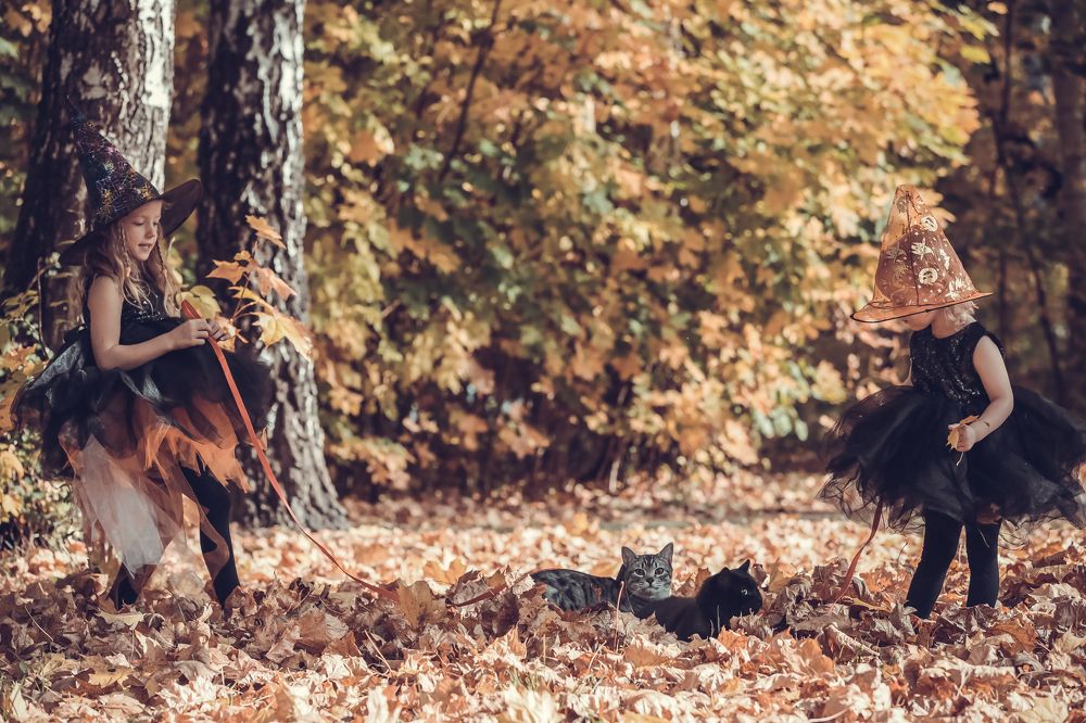 Photograph by Юлия Ляшенко