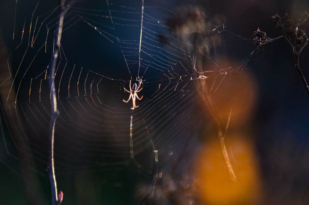 Photograph by Дарья Маркина