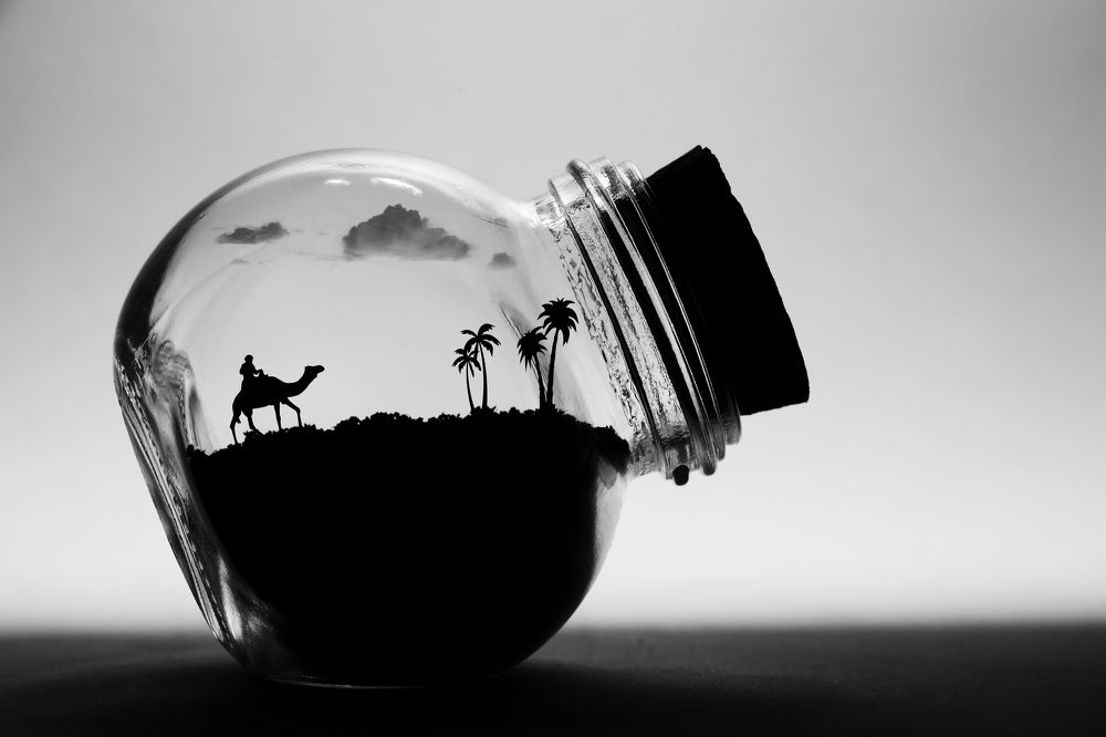 Photograph by 