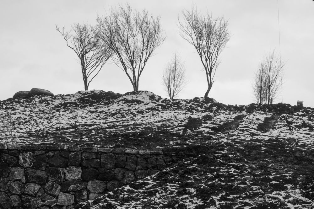 Photograph by Никта Ренджер