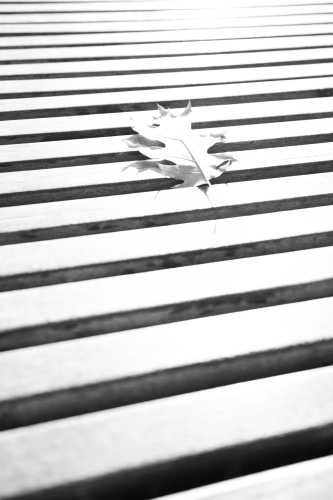 Photograph by Никта Ренджер