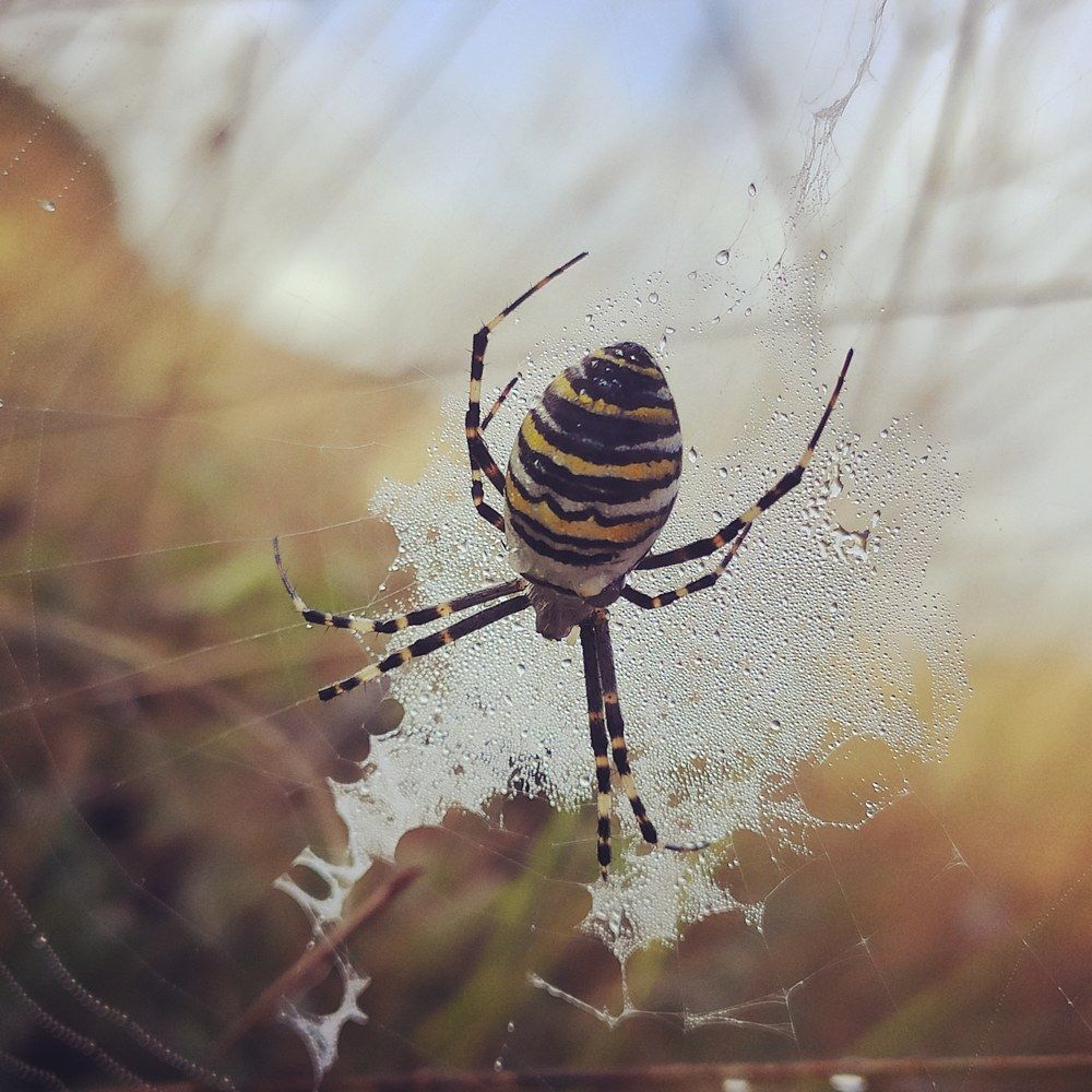 Photograph by Оксана Бутрим