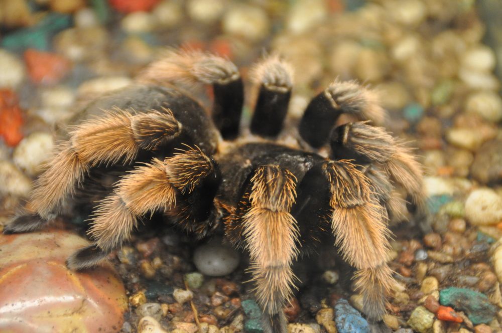 Photograph by Оксана Бутрим