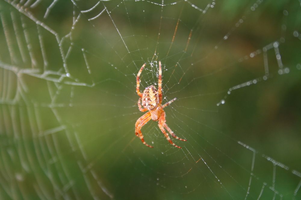 Photograph by Оксана Бутрим