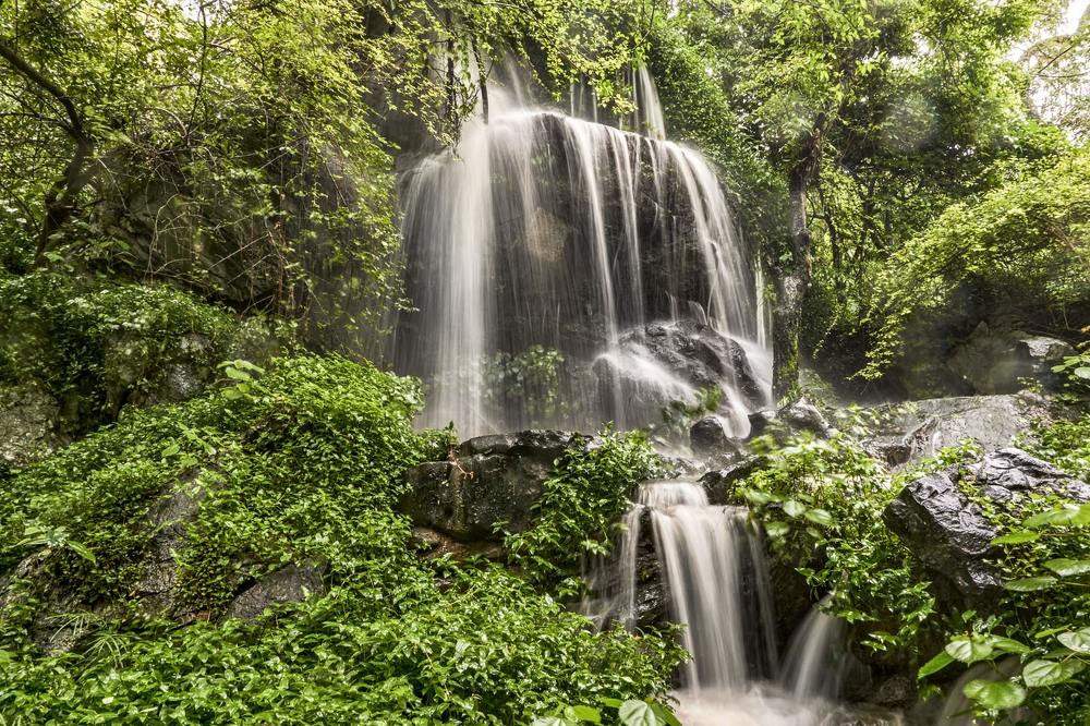 Фотография автора Сергей Низовцев
