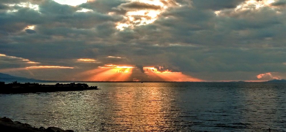 Фотография автора Rena Nikola