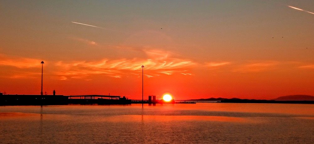 Фотография автора Rena Nikola