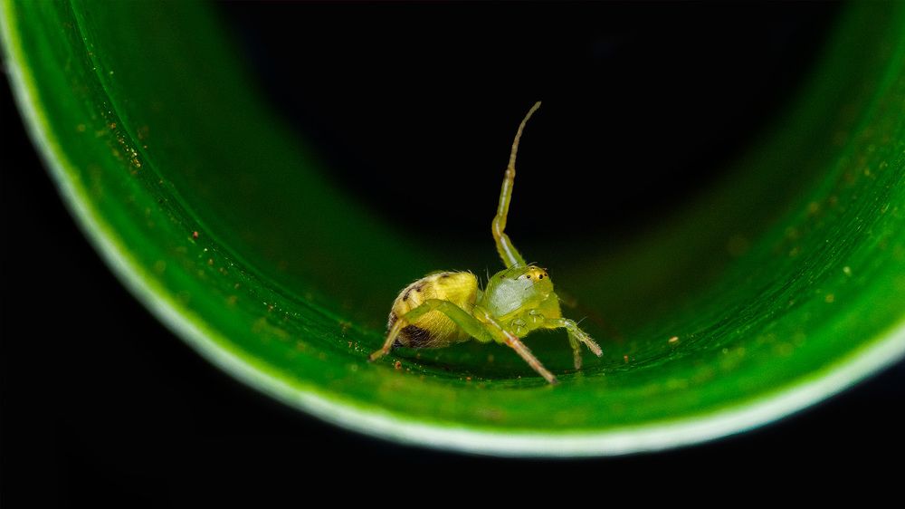 Photograph by ashok manjanath