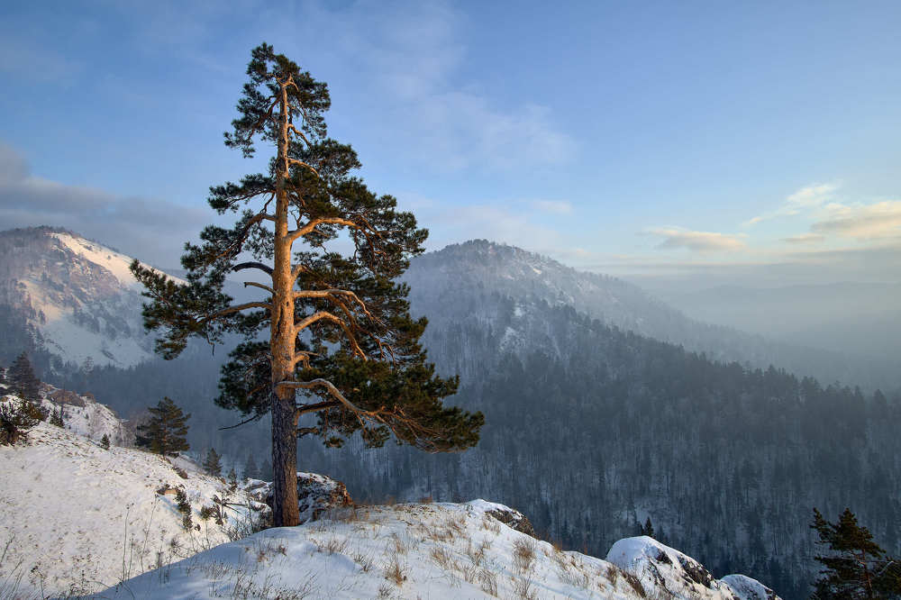 Photograph by Александр Могилатов