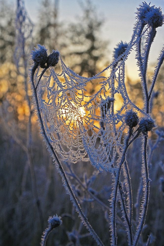Photograph by Андрей Степанов