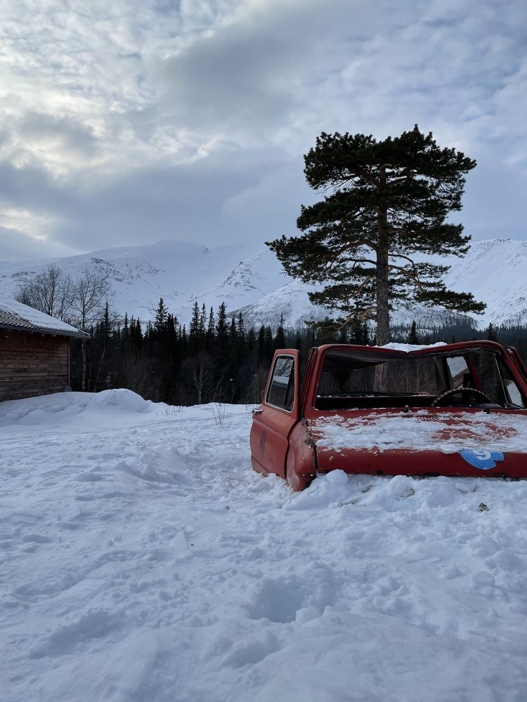 Фотография автора Владимир Хащанский