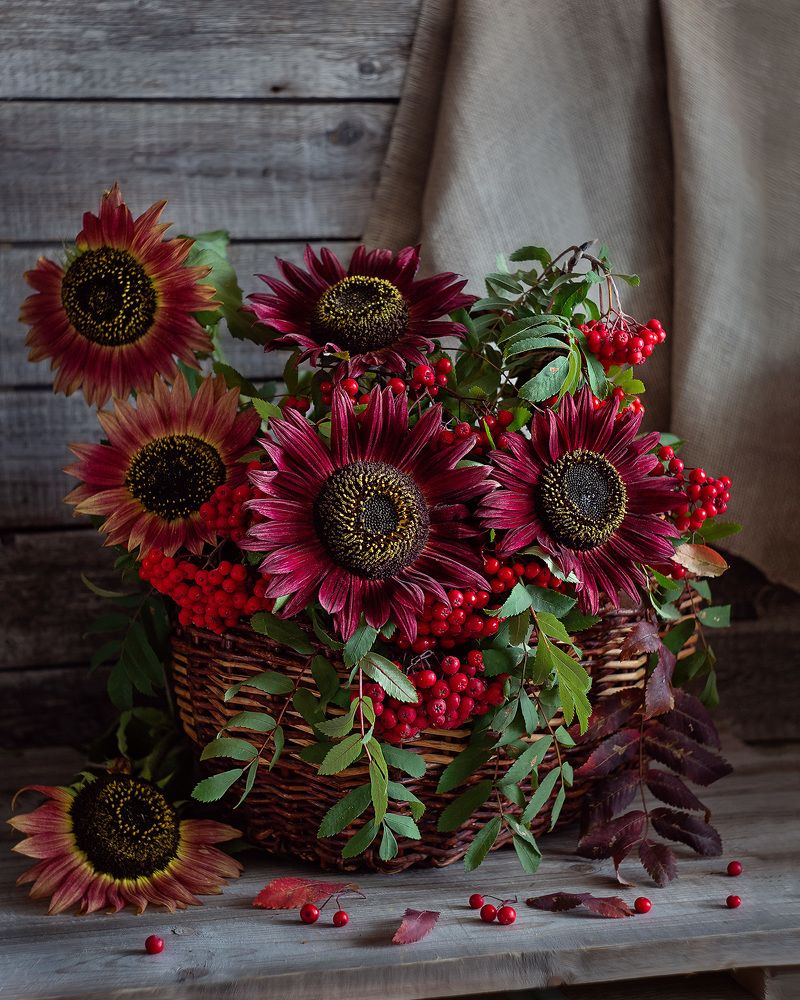 Photograph by Наталья Кабачек