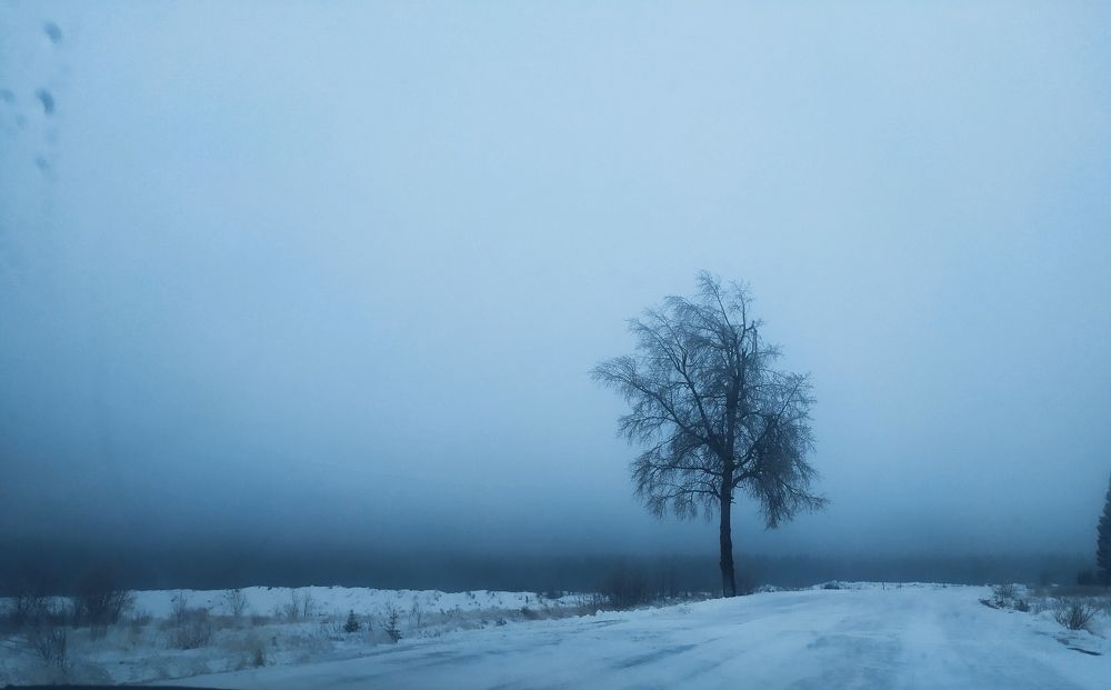 Фотография автора Алена