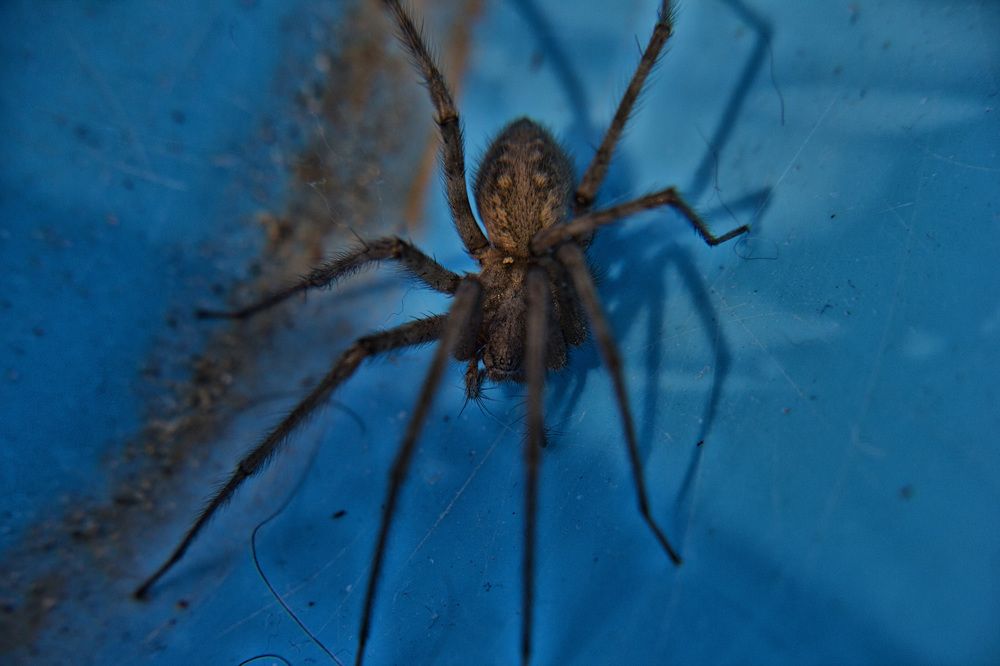 Photograph by Антонина Владимировна Завальнюк