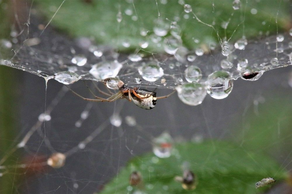 Photograph by Антонина Владимировна Завальнюк