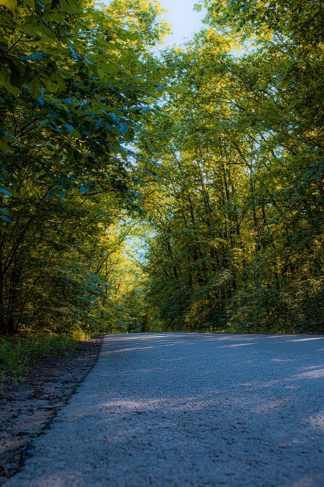 Photograph by Александр