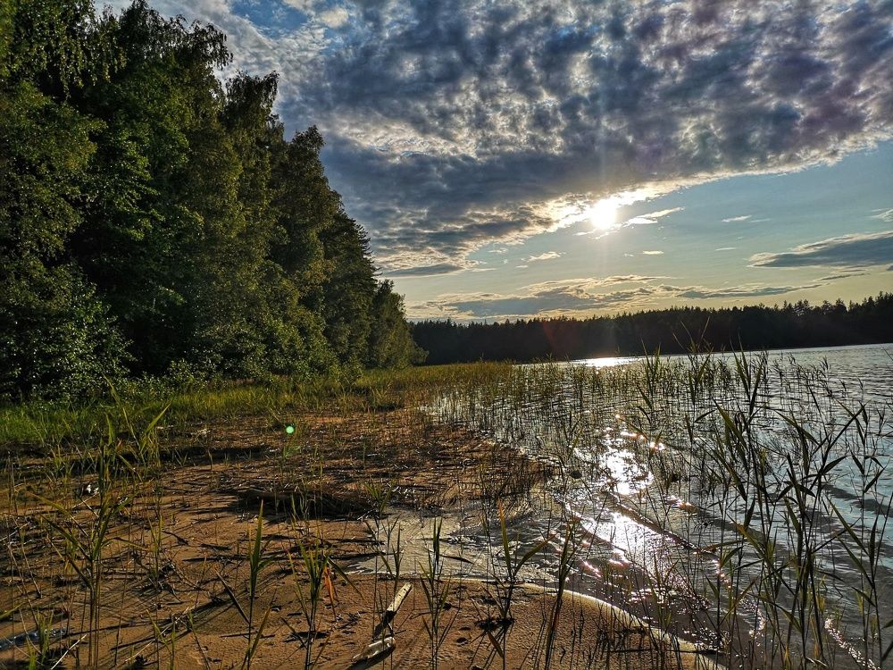 Photograph by Екатерина