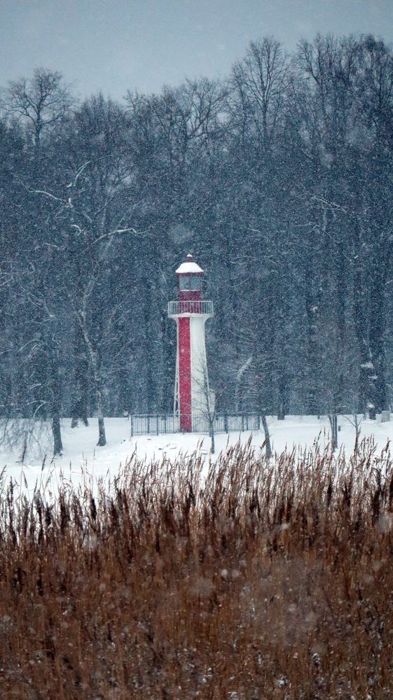 Photograph by Анна Сойтту