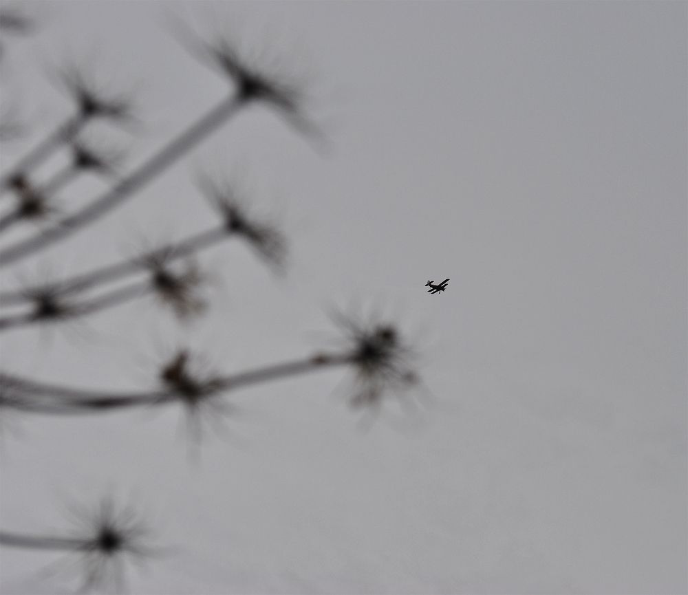 Photograph by Алексей