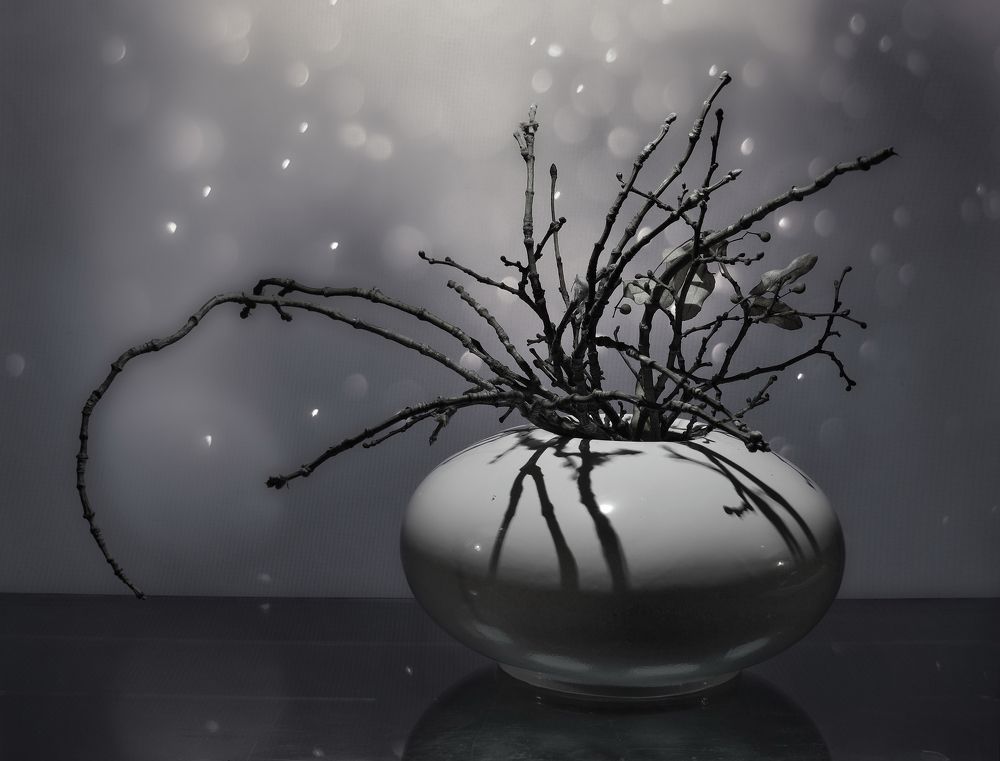 Photograph by Инаида