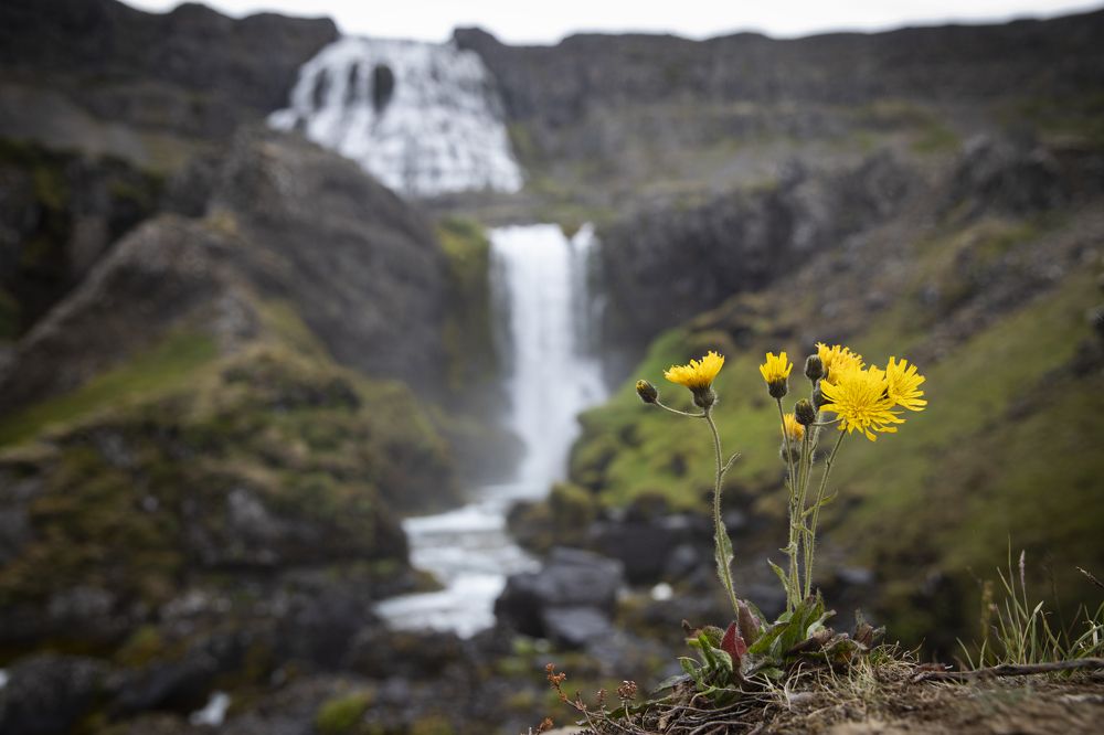 Photograph by Louis Sauter