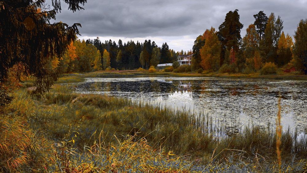 Фотография автора Анатолий Дауров