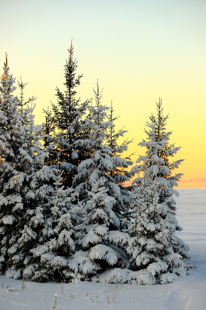 Photograph by Владимир Урбанович