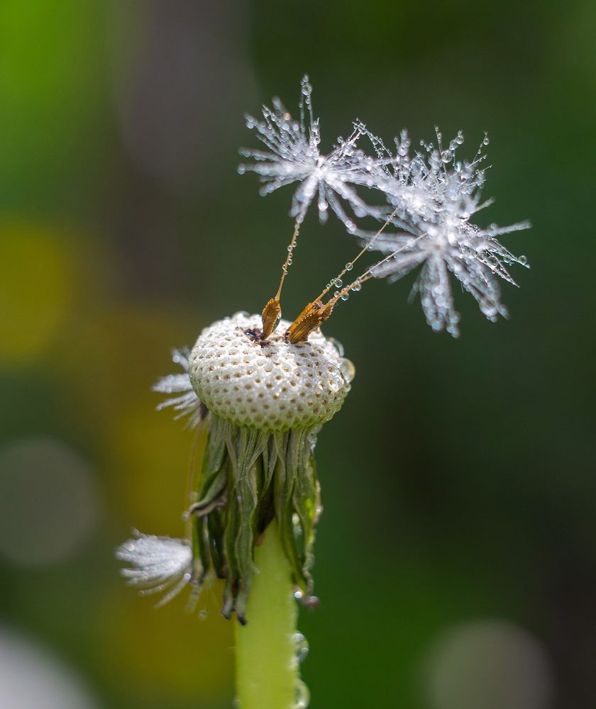 Photograph by Андрей Бурда