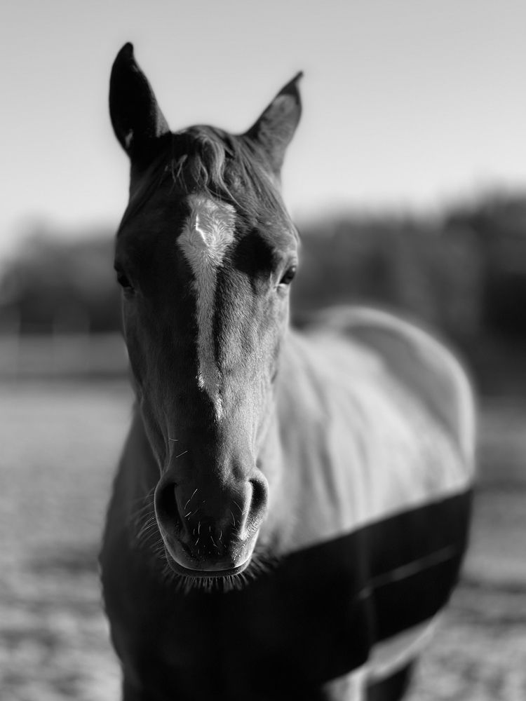 Photograph by Жанна Полуянова