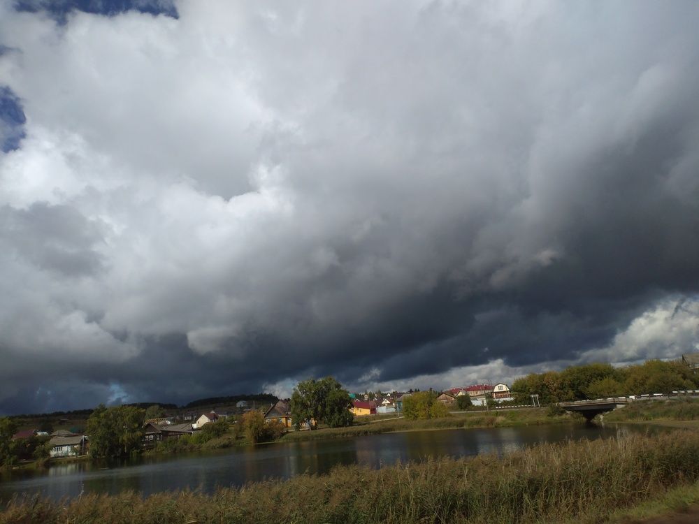 Photo #7142466