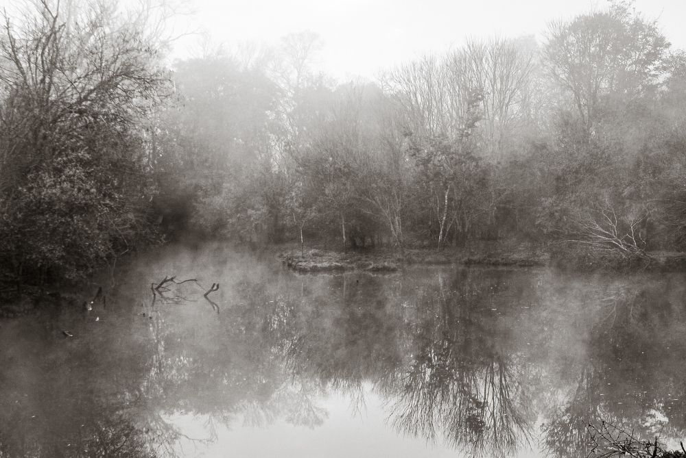 Photograph by Edgardo