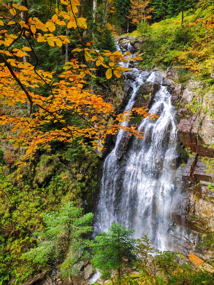 Photograph by Евгений Симион