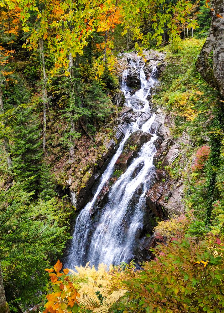 Photograph by Евгений Симион