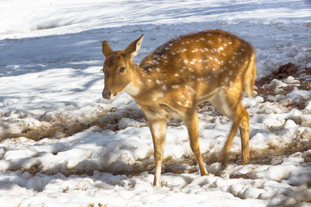 Photograph by Людмила Бутова