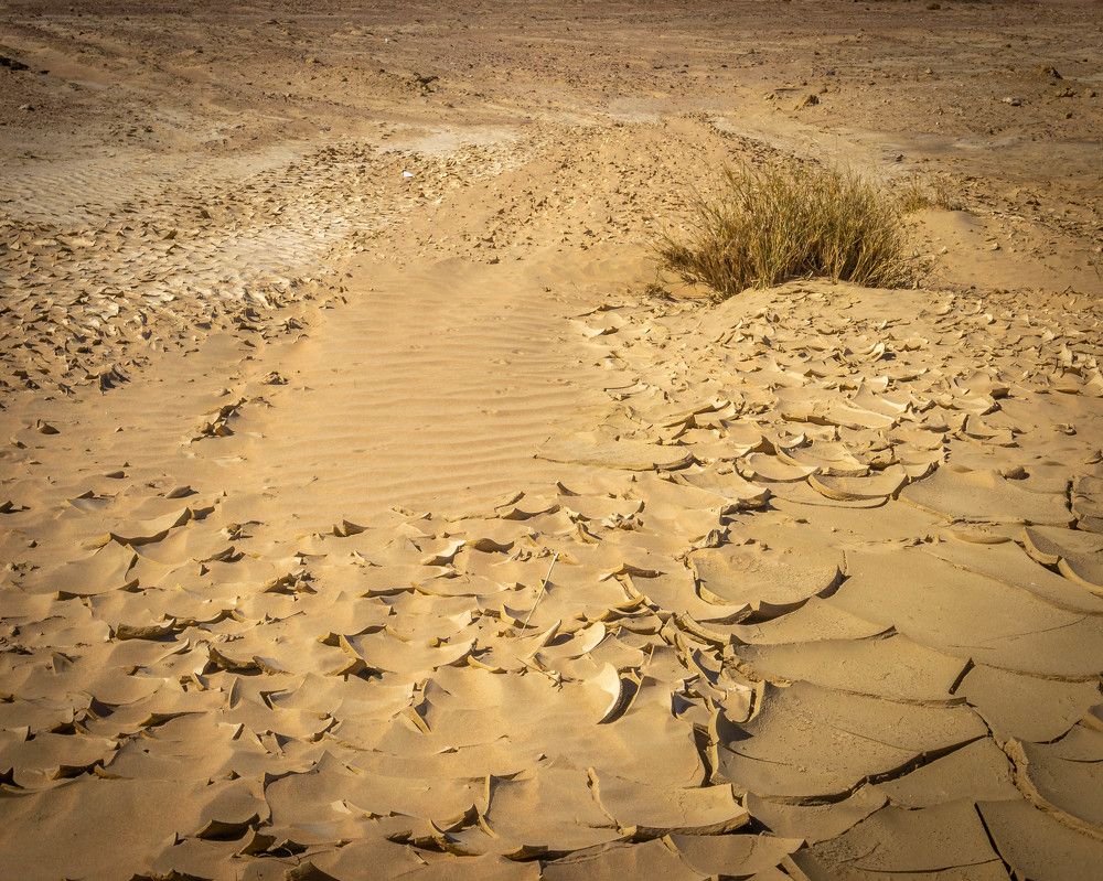 Photograph by Юрий Можейко