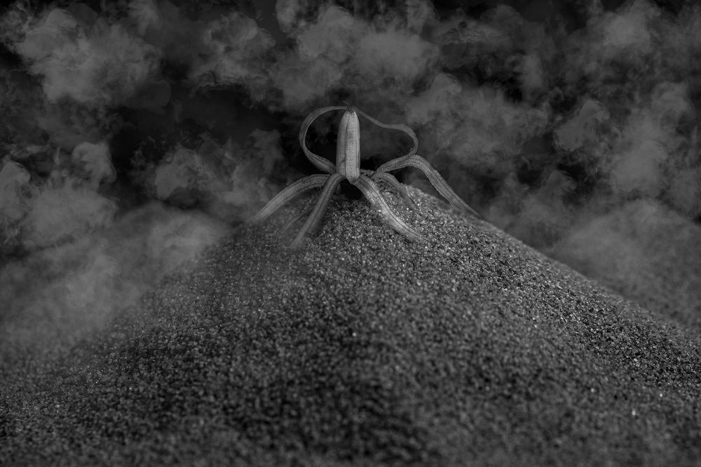 Photograph by Виктор Холодов