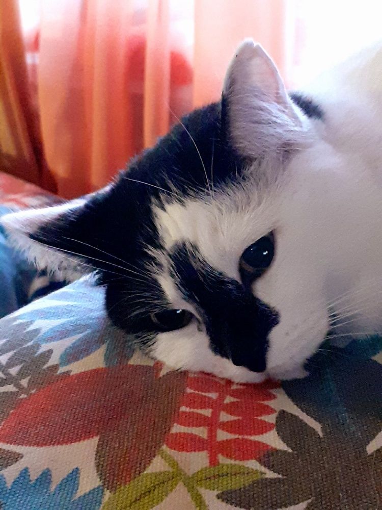 Photograph by Евгения Ульянова