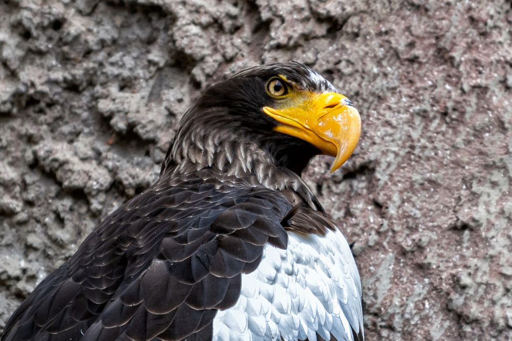 Photograph by Ирина Ульянова