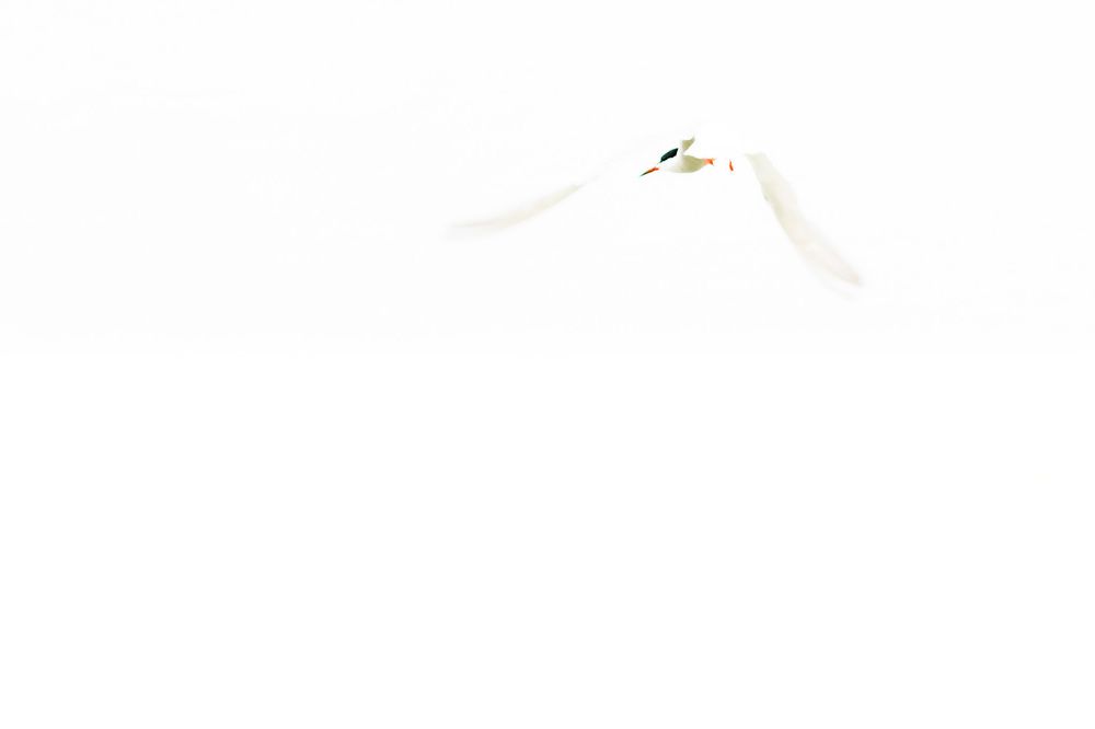 Photograph by ptu6ki