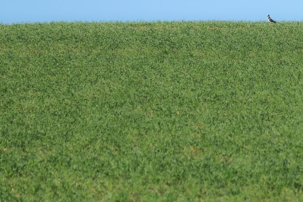 Photograph by ptu6ki