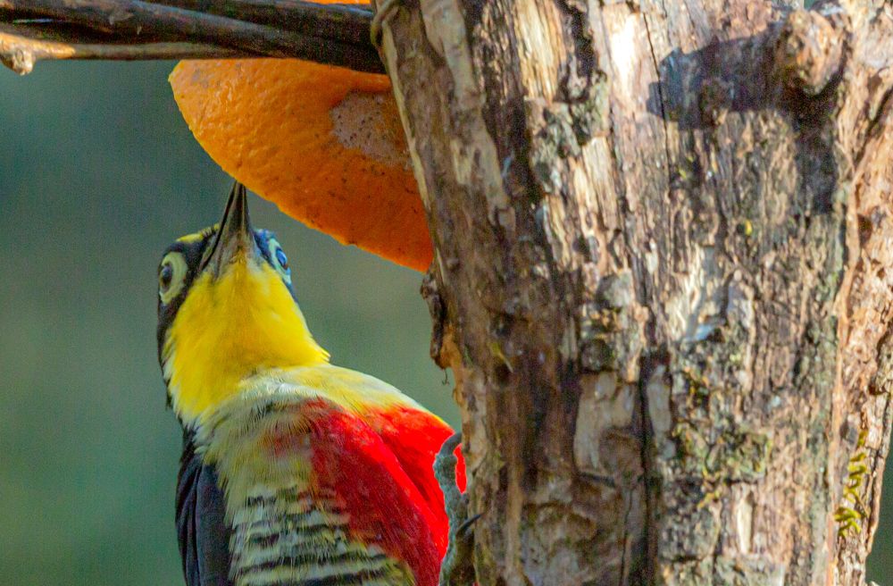 Photograph by Edgardo Izcovich