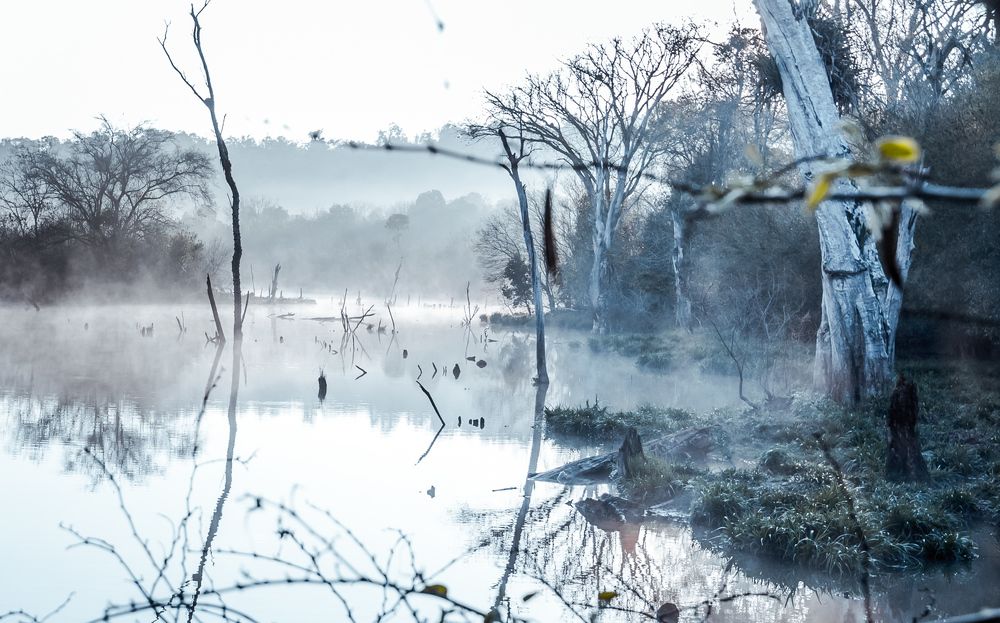 Photograph by Edgardo Izcovich