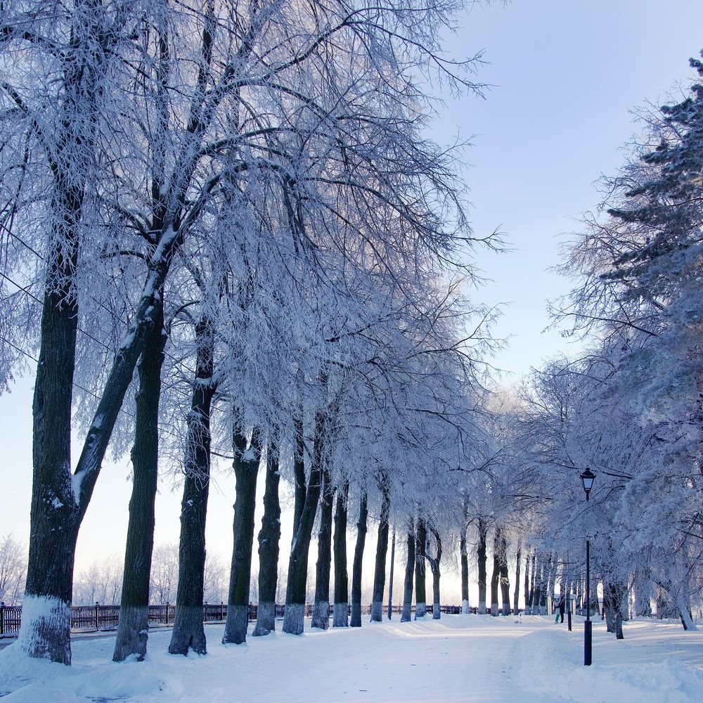 Фотография автора Ольга Белоусова