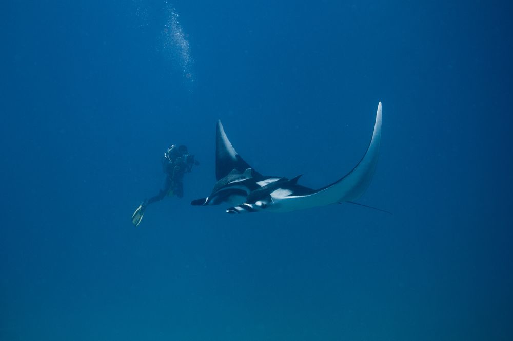 Photograph by Luis Martínez Tapia